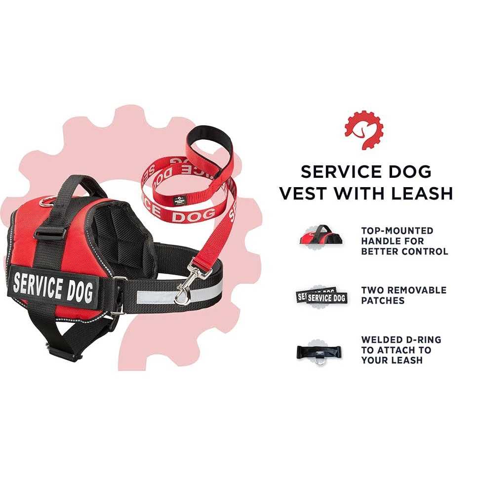 Service Dog Vest and Leash Set E61119
