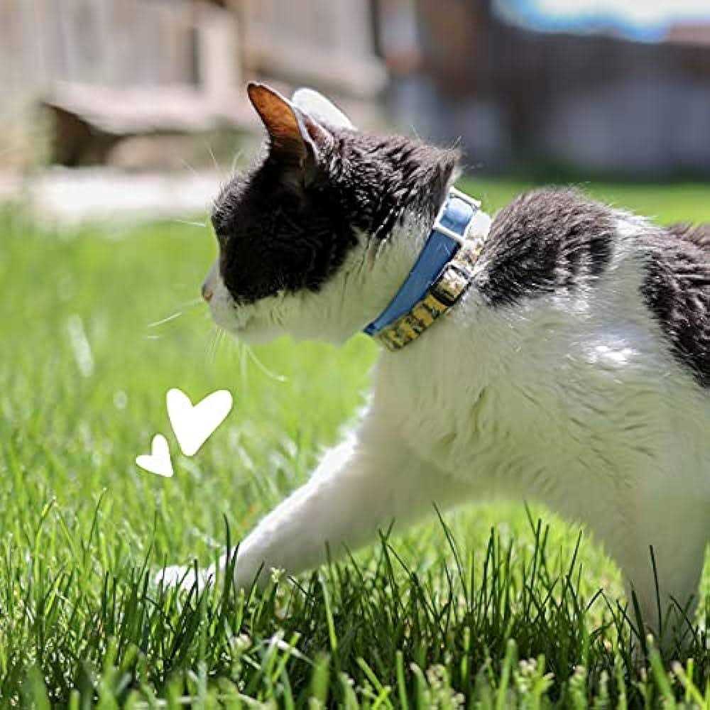 Flea & Tick Collar for Cats Z618