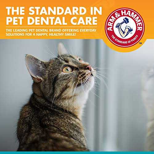 Fresh Breath Dental Kit for Cats V721981