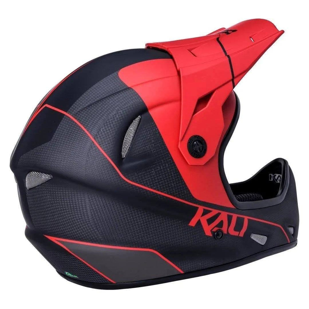 Alpine Carbon Helmet B163295