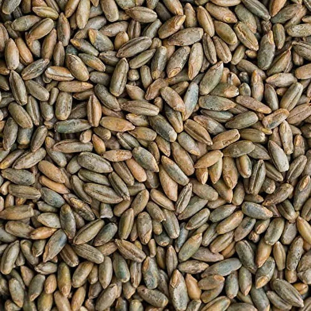 25 LB Bag Of Rye Berries J253701