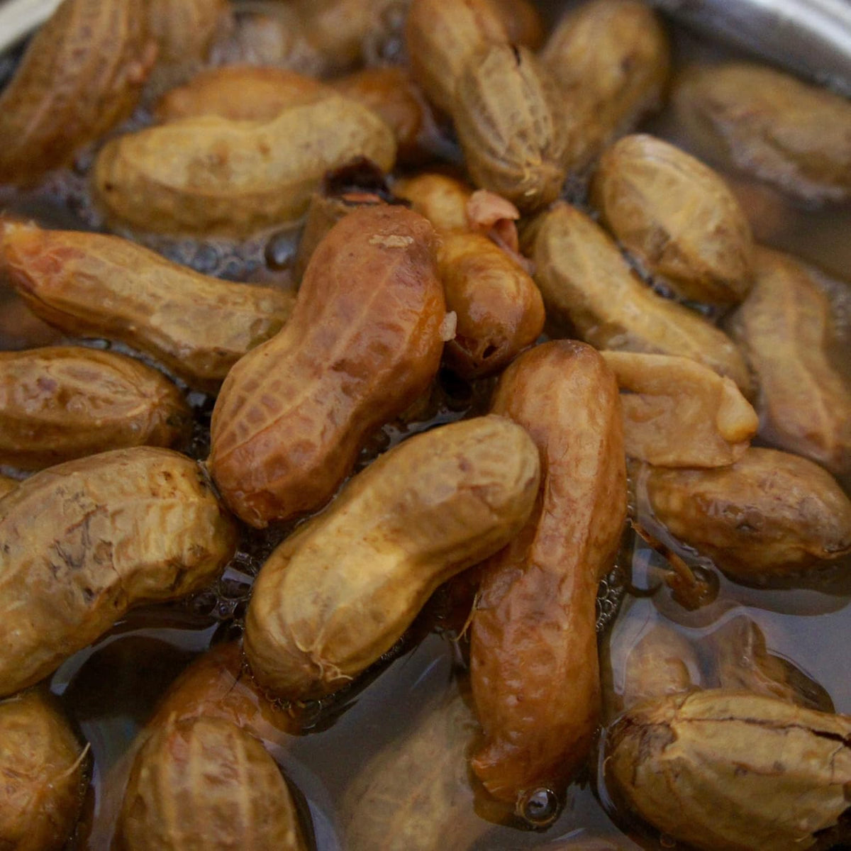 Bulk Raw Peanuts in Shell, Virginia Grown (25 lb box) J79039