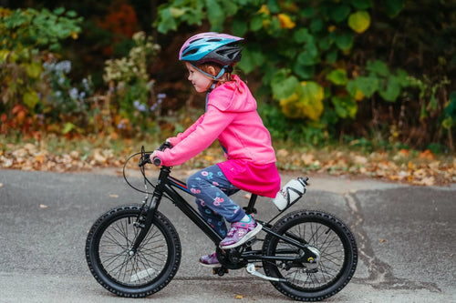 16 Inch 3 Speed Kids Bike with Internal Gears D954483