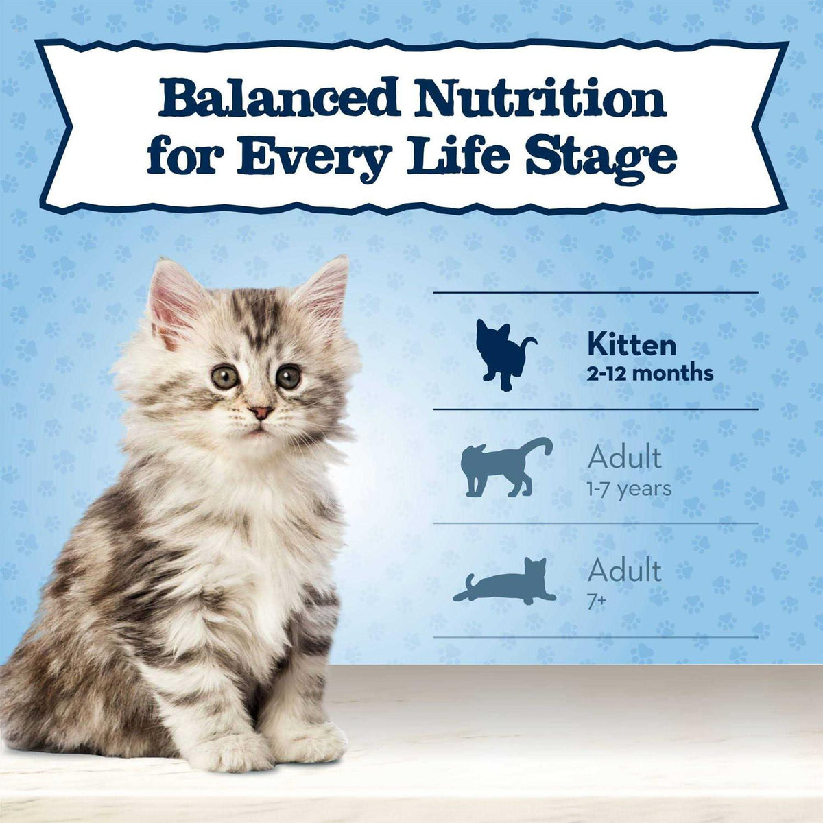 High Protein Natural Dry Kitten Food F444