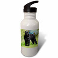Black Russian Terrier Sports Water Bottle, 21oz W8001