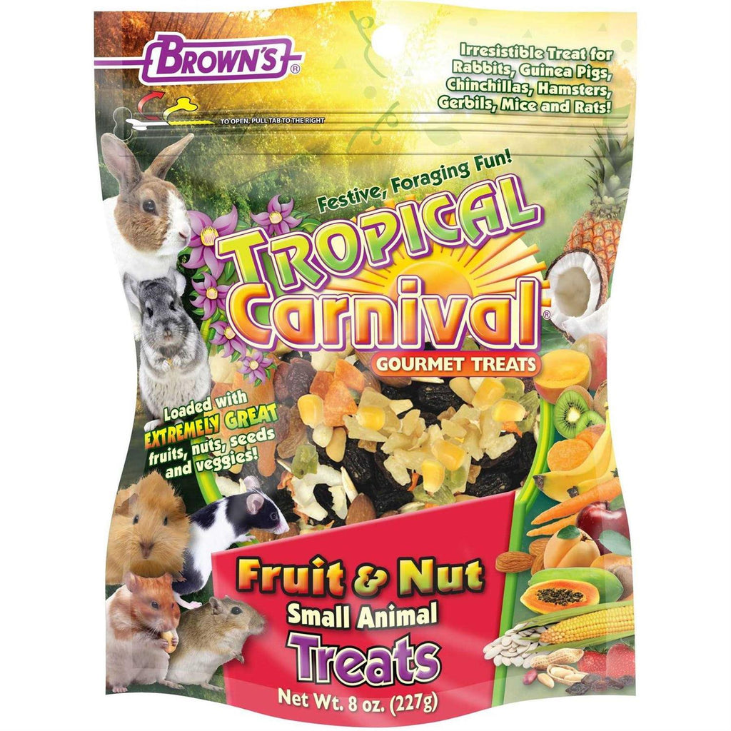 Tropical Carnival Fruit & Nut Small Animal Treats S968