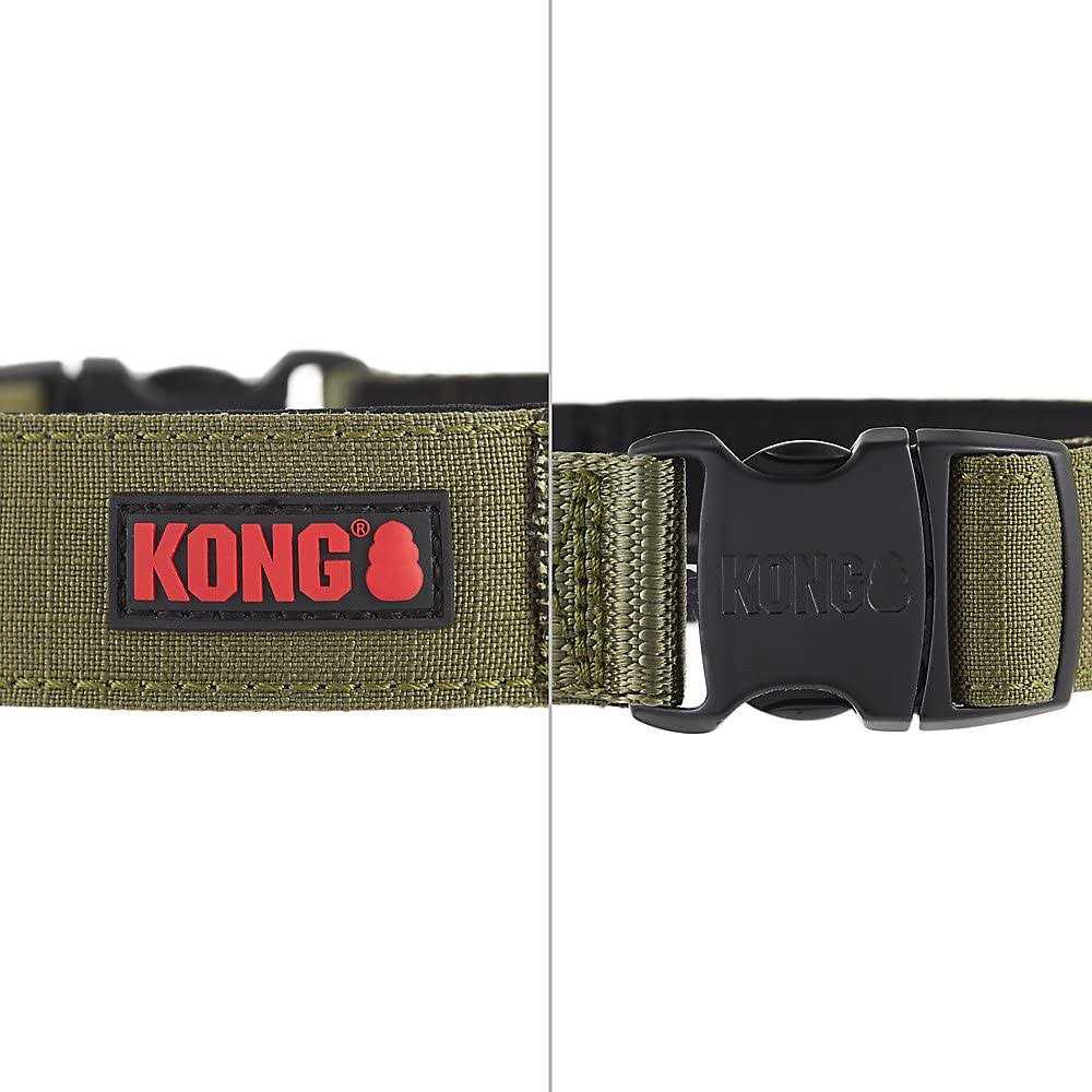 Dog Collar C31464
