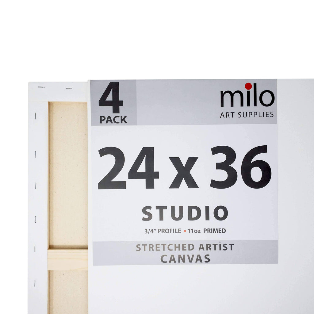 24 x 36x22 Stretched Canvas Pack of 4 N30064