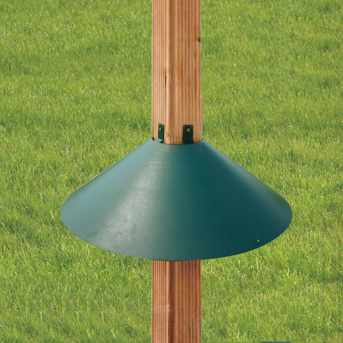 Green Metal Wrap Around Bird Feeder Squirrel Baffle Guard H5432