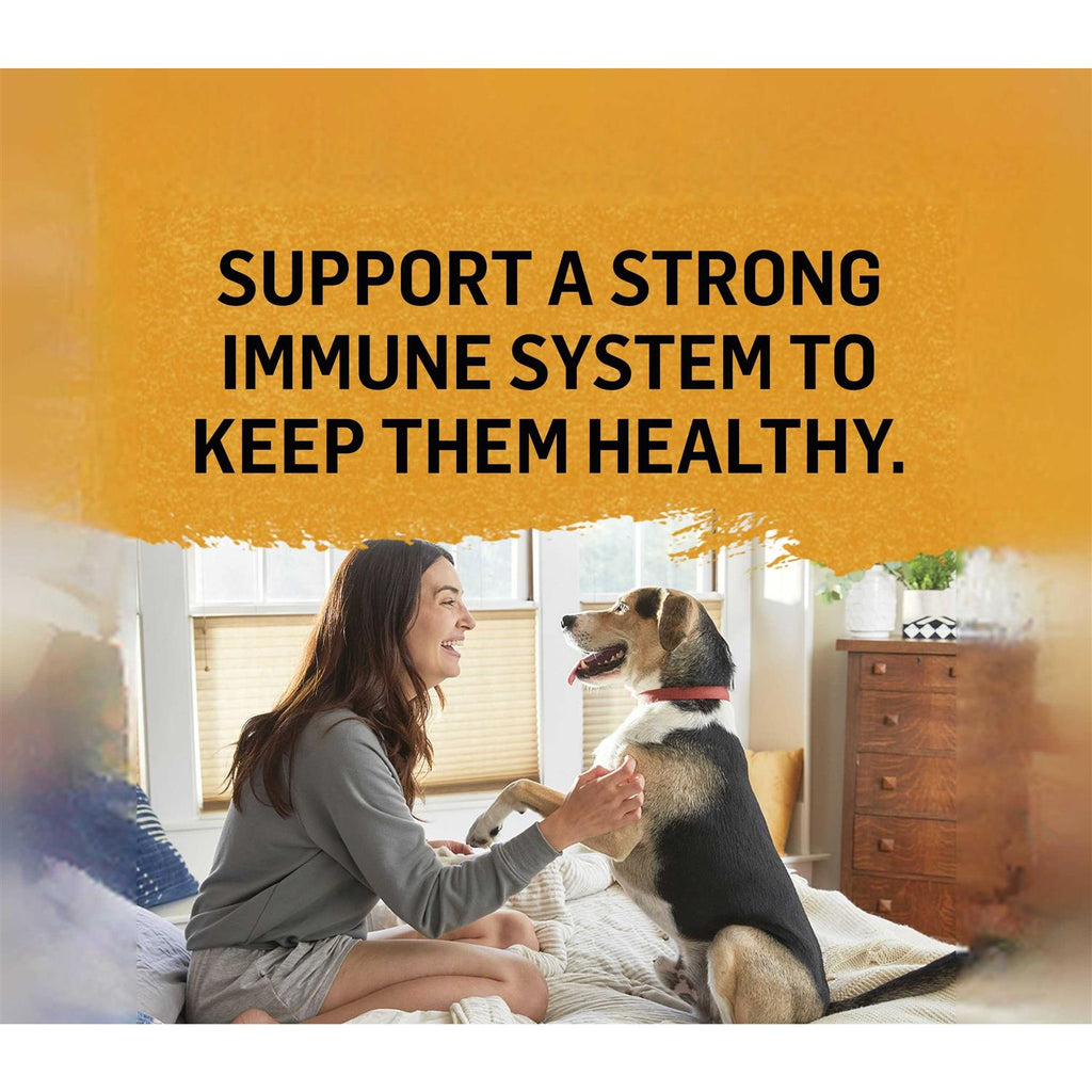 Natural Chicken Bone Broth Wet Cat Food A646950