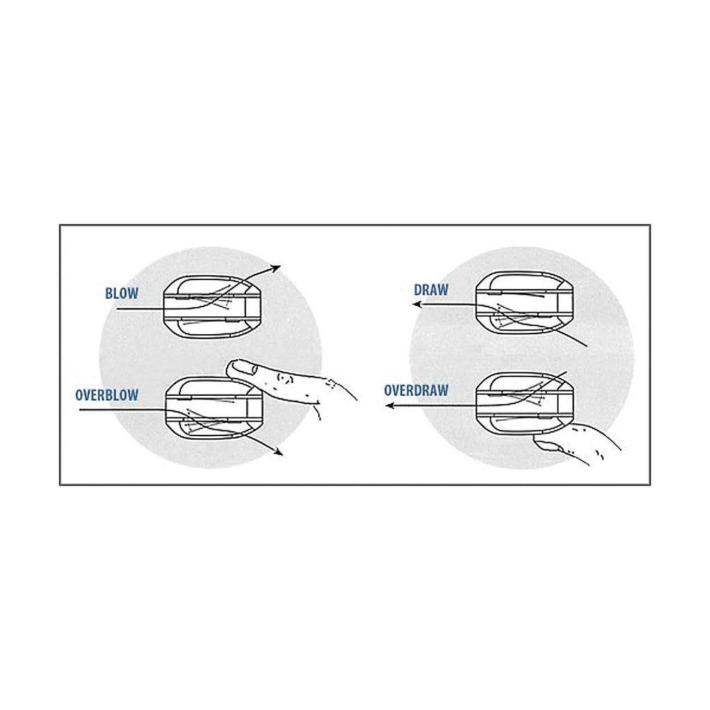 Harmonica C R314028