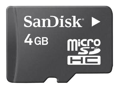 4GB SDHC Flash Memory Card V550219
