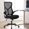 Black Ergonomic Mesh Office Chair N26168