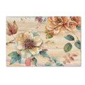 Canvas T735