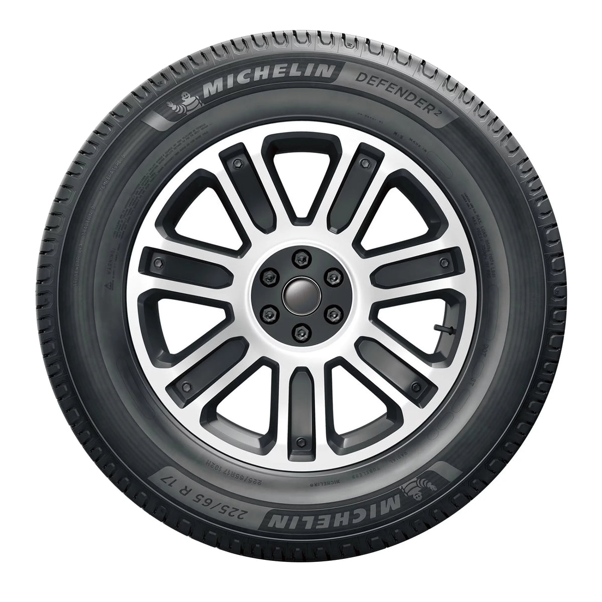 225/65R16 100H All Season Passenger Tire H64583