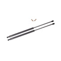 Pair of 2 Rear Tailgate Lift Support for 1979-1982 Nissan 210 Wagon 4 Door E6243