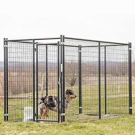 Blue Dog Kennel Gate U26022