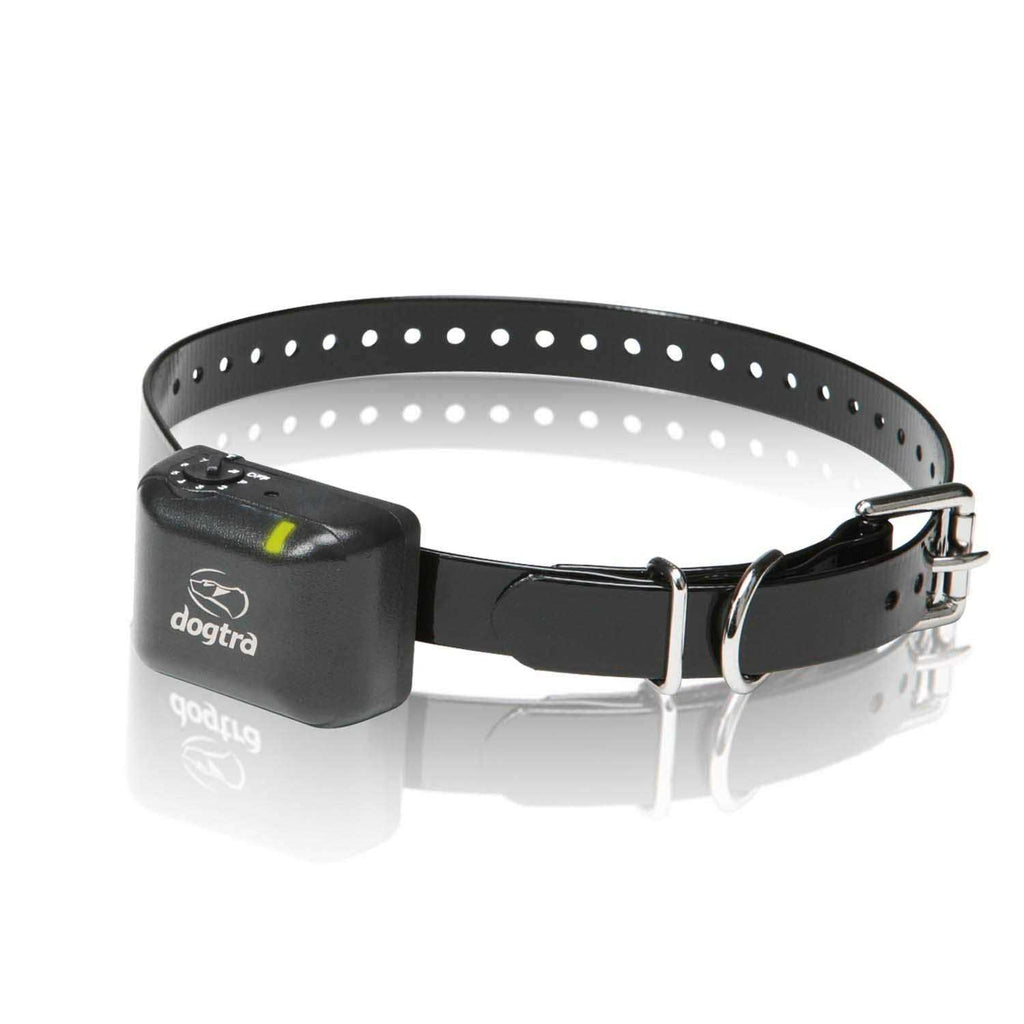 No Bark Collar R119940