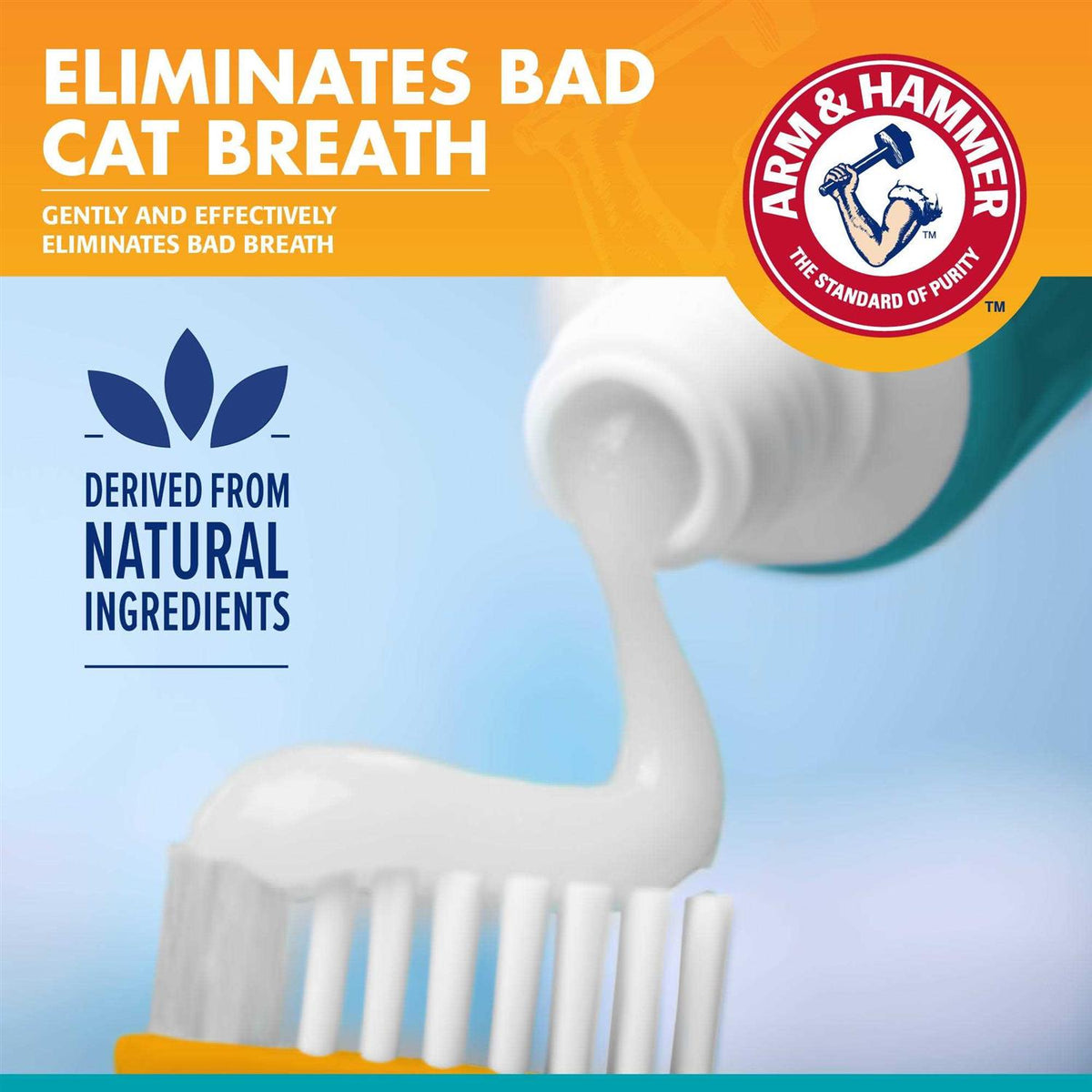Fresh Breath Dental Kit for Cats V721981