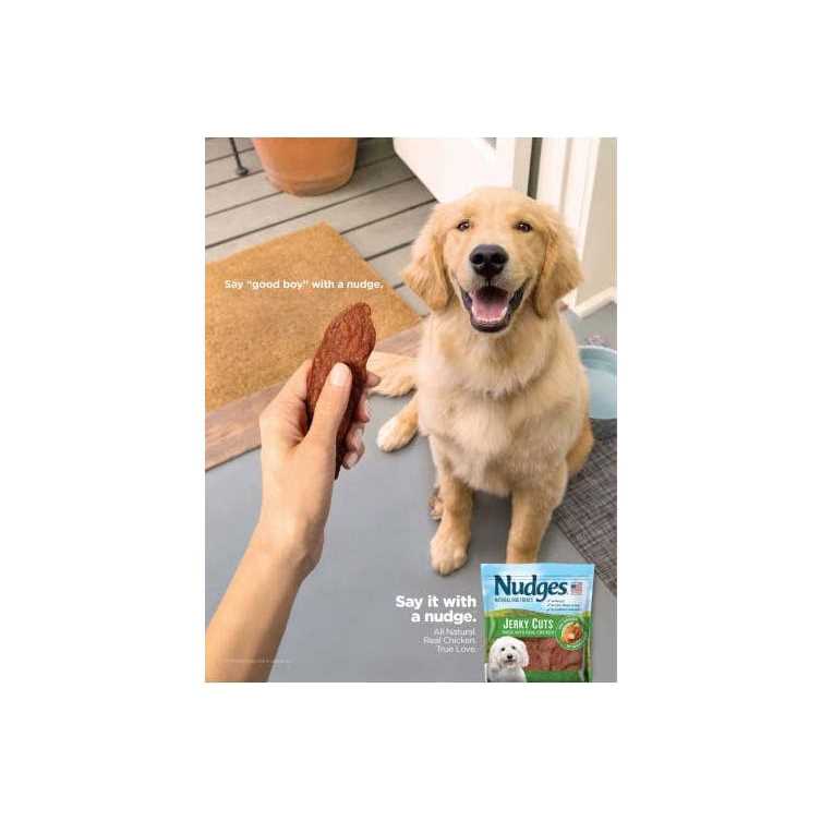 Natural Dog Treats U34587