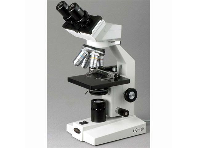 Black Binocular Biological Microscope A503462