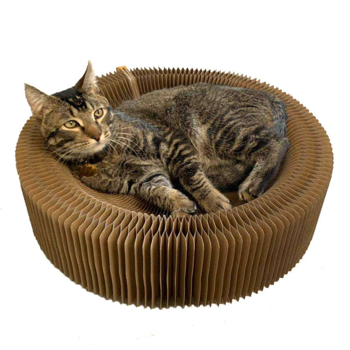 Cat Scratcher Lounge Bed C10187