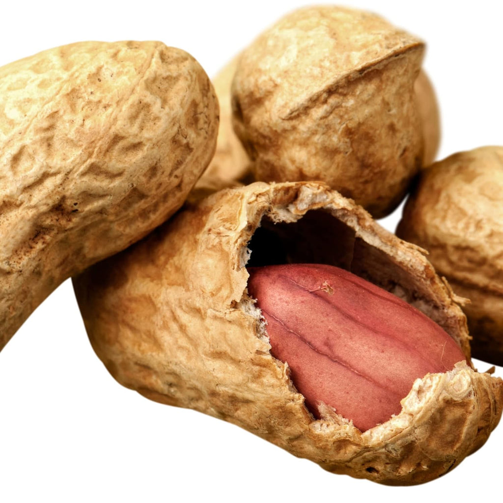 Bulk Raw Peanuts in Shell, Virginia Grown (25 lb box) J79039