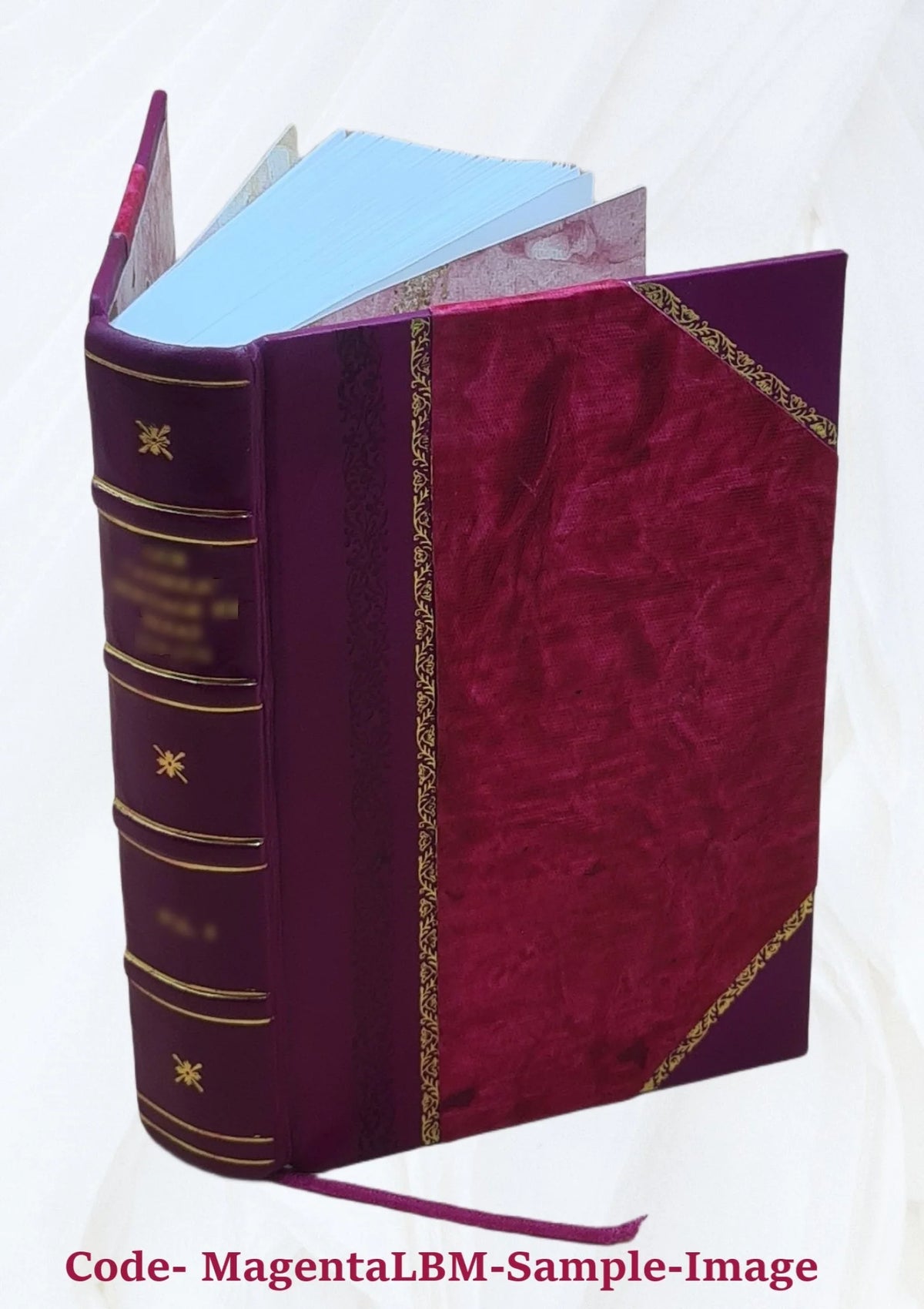 Leather Bound Furniture and Furnishings P625