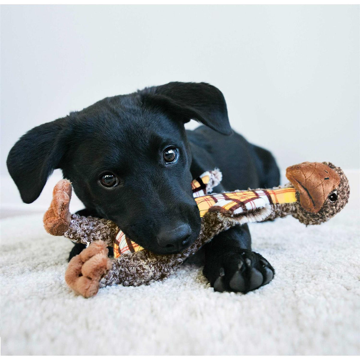 Elephant Dog Toy D728338