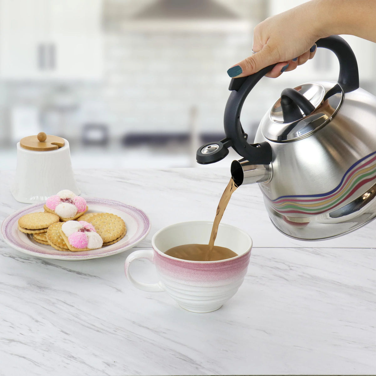 Stainless Steel Whistling Tea Kettle T9588