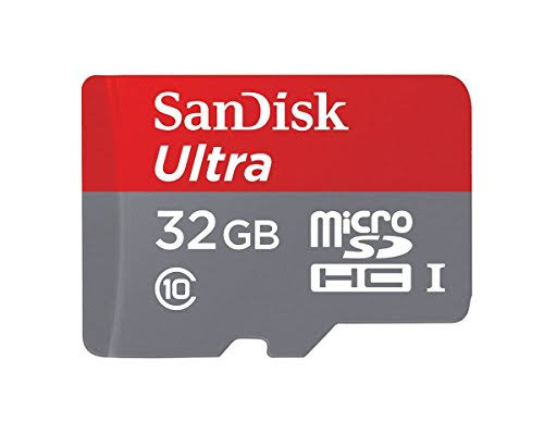 4GB SDHC Flash Memory Card V550219