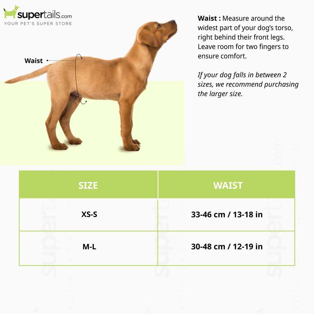 Disposable Male Dog Diapers W6747