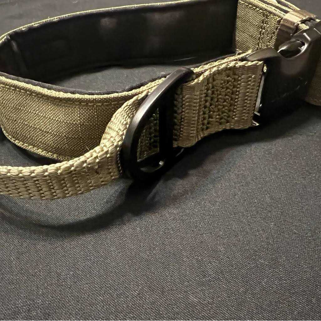 Dog Collar C31464