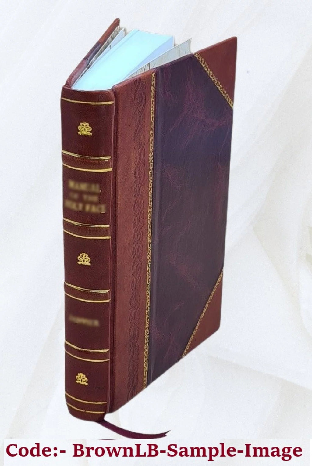 Shakespeare Life Variorum Plots Dictionary of Quotations Indices 64 Photogravures Volume 16 W4919