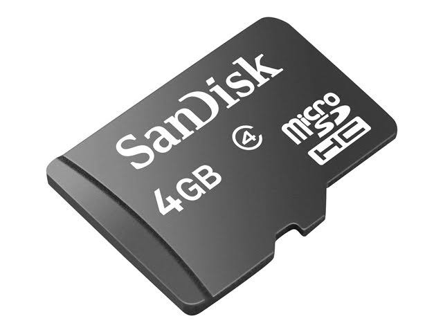 4GB SDHC Flash Memory Card V550219