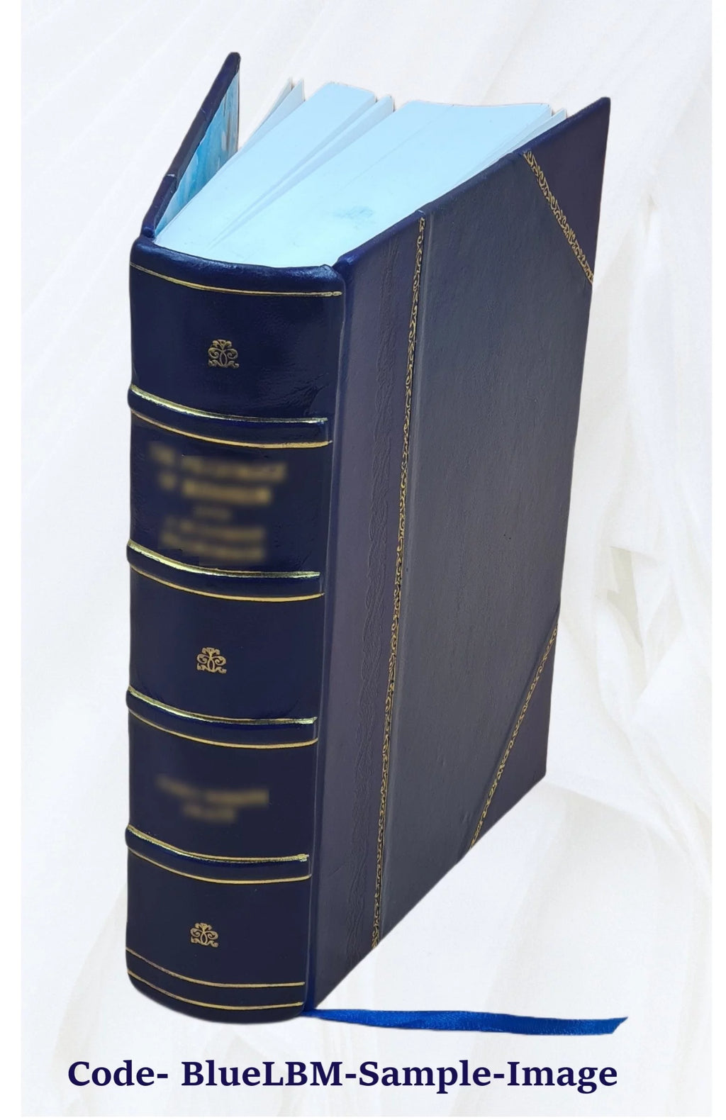 Leather Bound Furniture and Furnishings P625