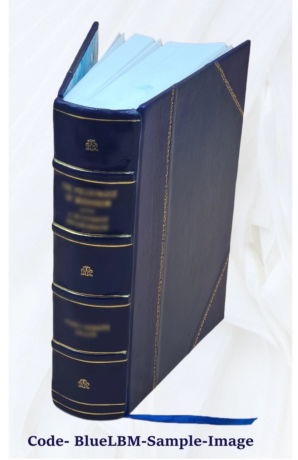 Leather Bound Furniture and Furnishings P625