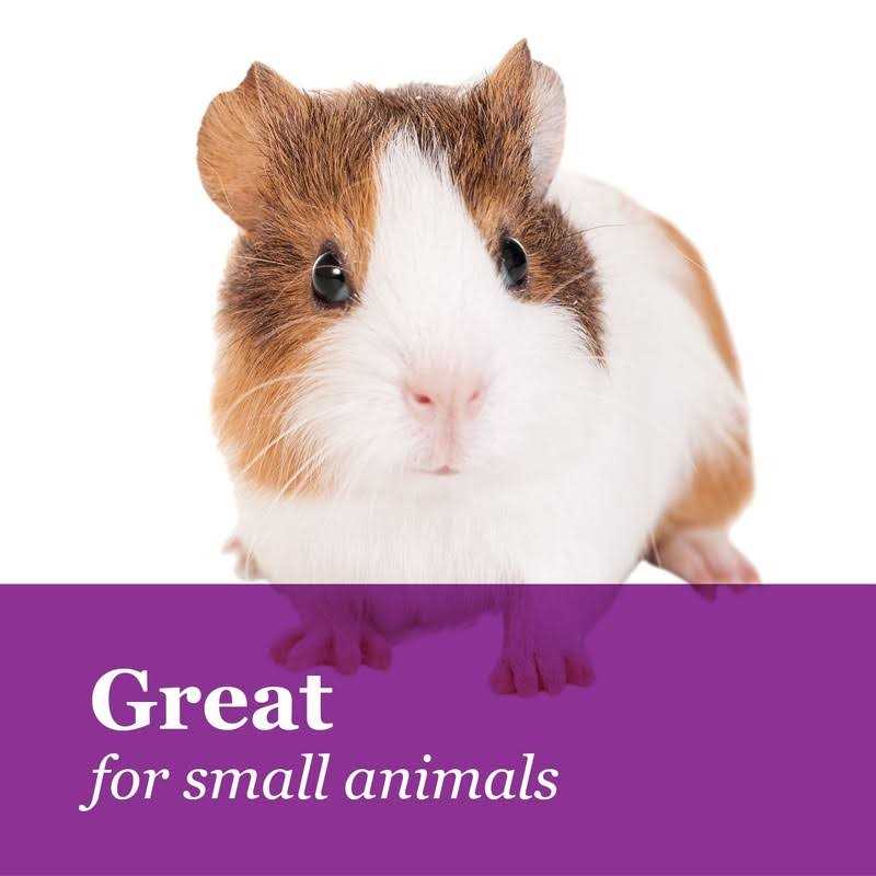 Tropical Carnival Fruit & Nut Small Animal Treats S968