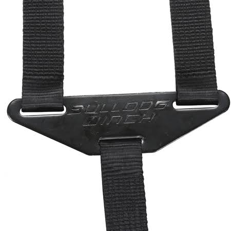 Tire Tie-Down Strap Q143658