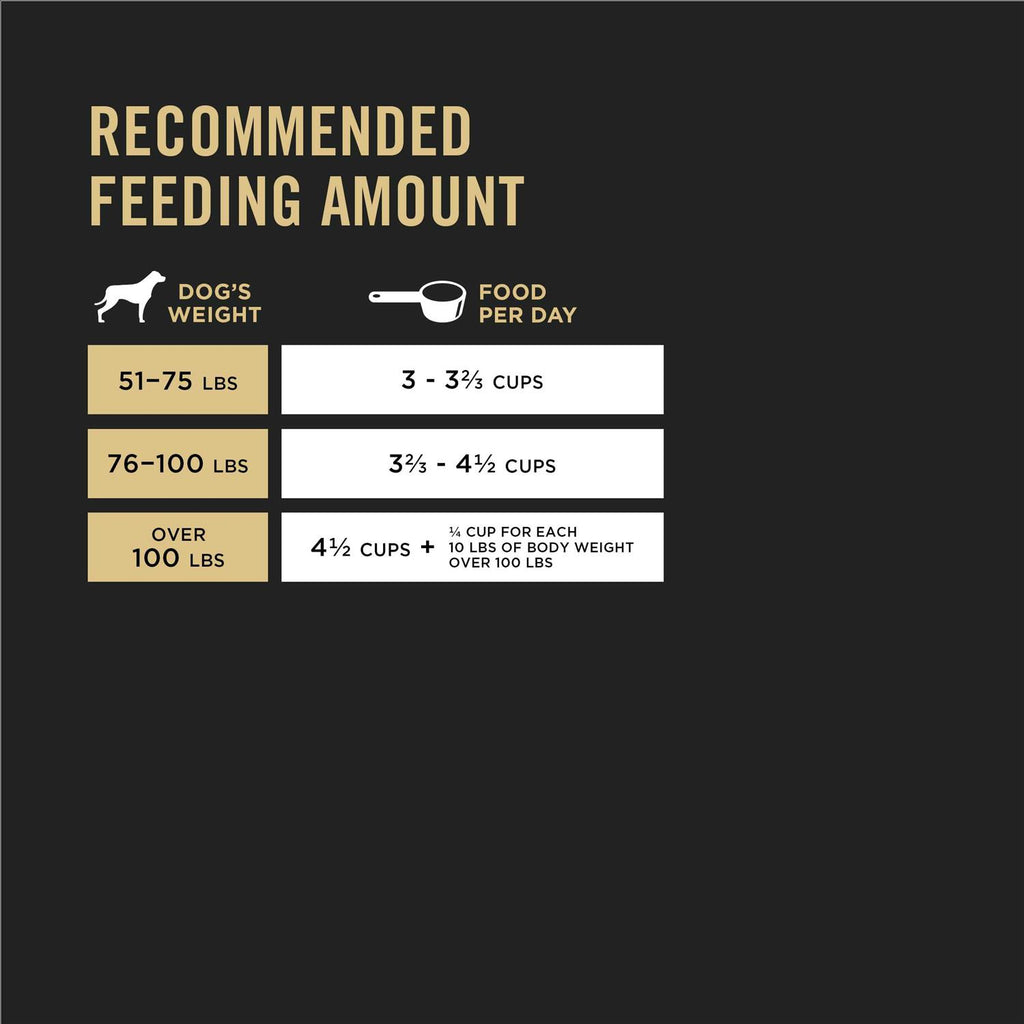 Dry Dog Food G5062