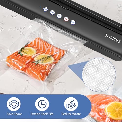 Compact Food Sealer with Cutter, Dry & Moist Modes, 10 Sealing Bags & Air Suction Hose E791