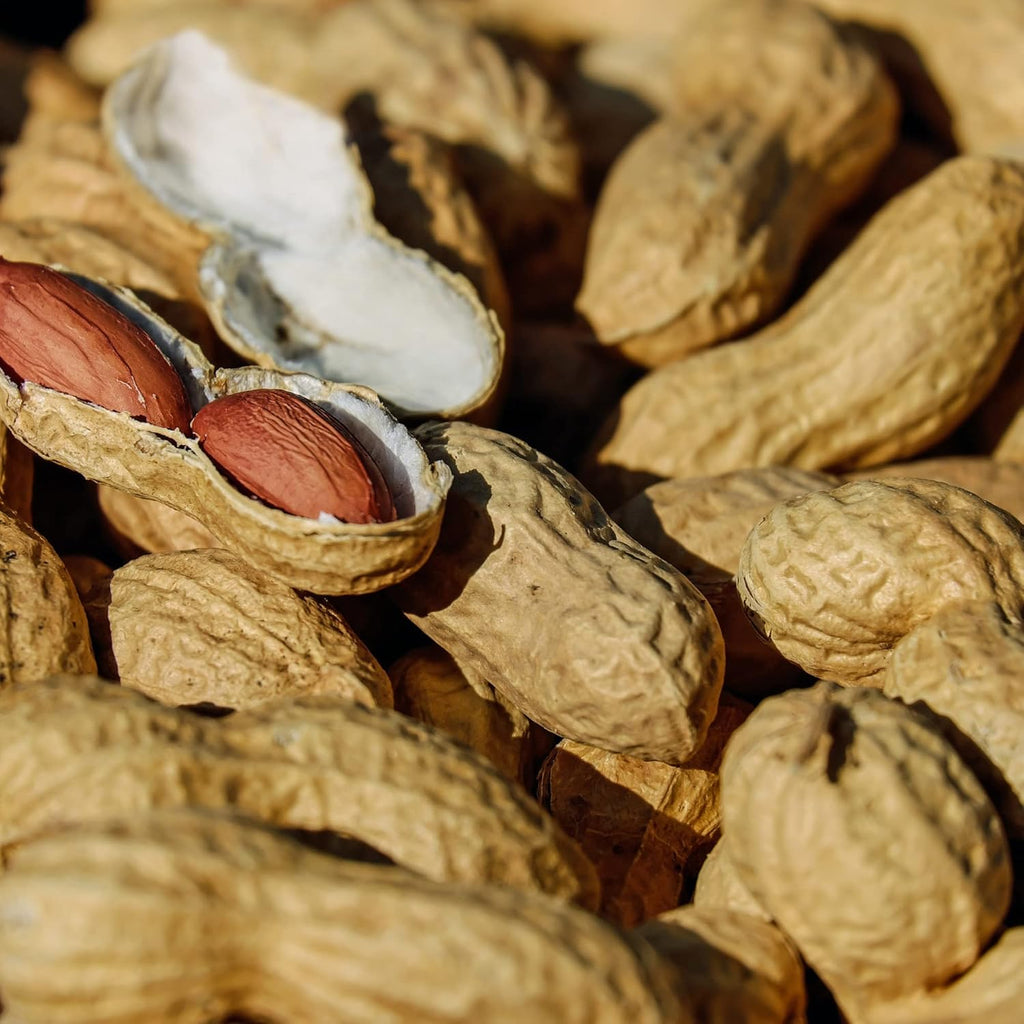 Bulk Raw Peanuts in Shell, Virginia Grown (25 lb box) J79039