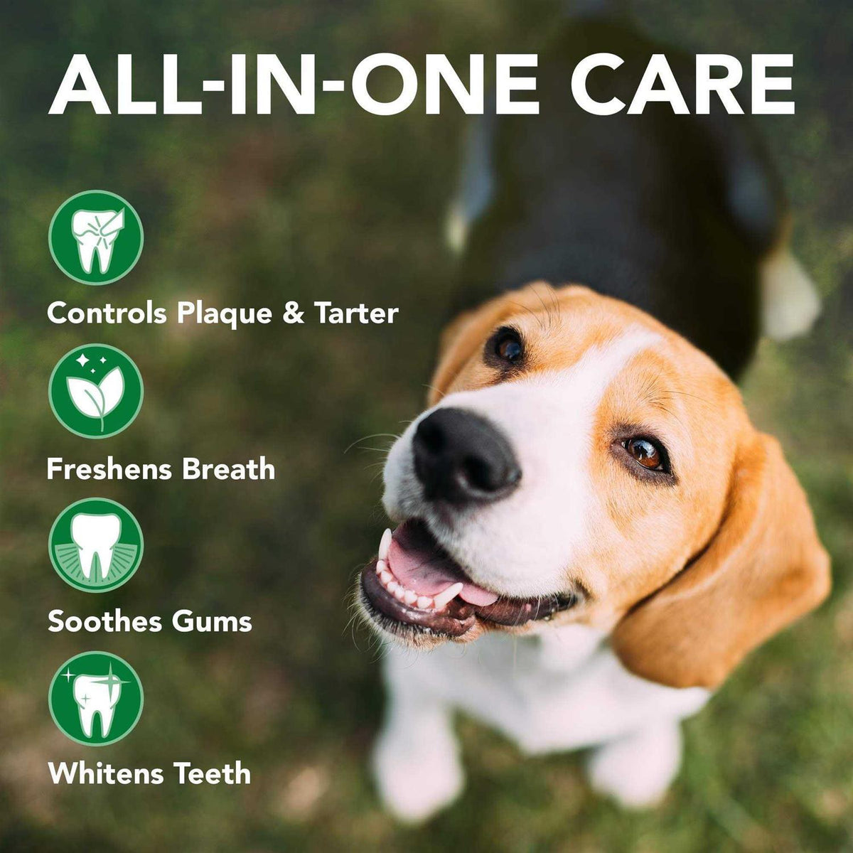 Enzymatic Toothpaste and Toothbrush Dog Dental Care Kit U518821