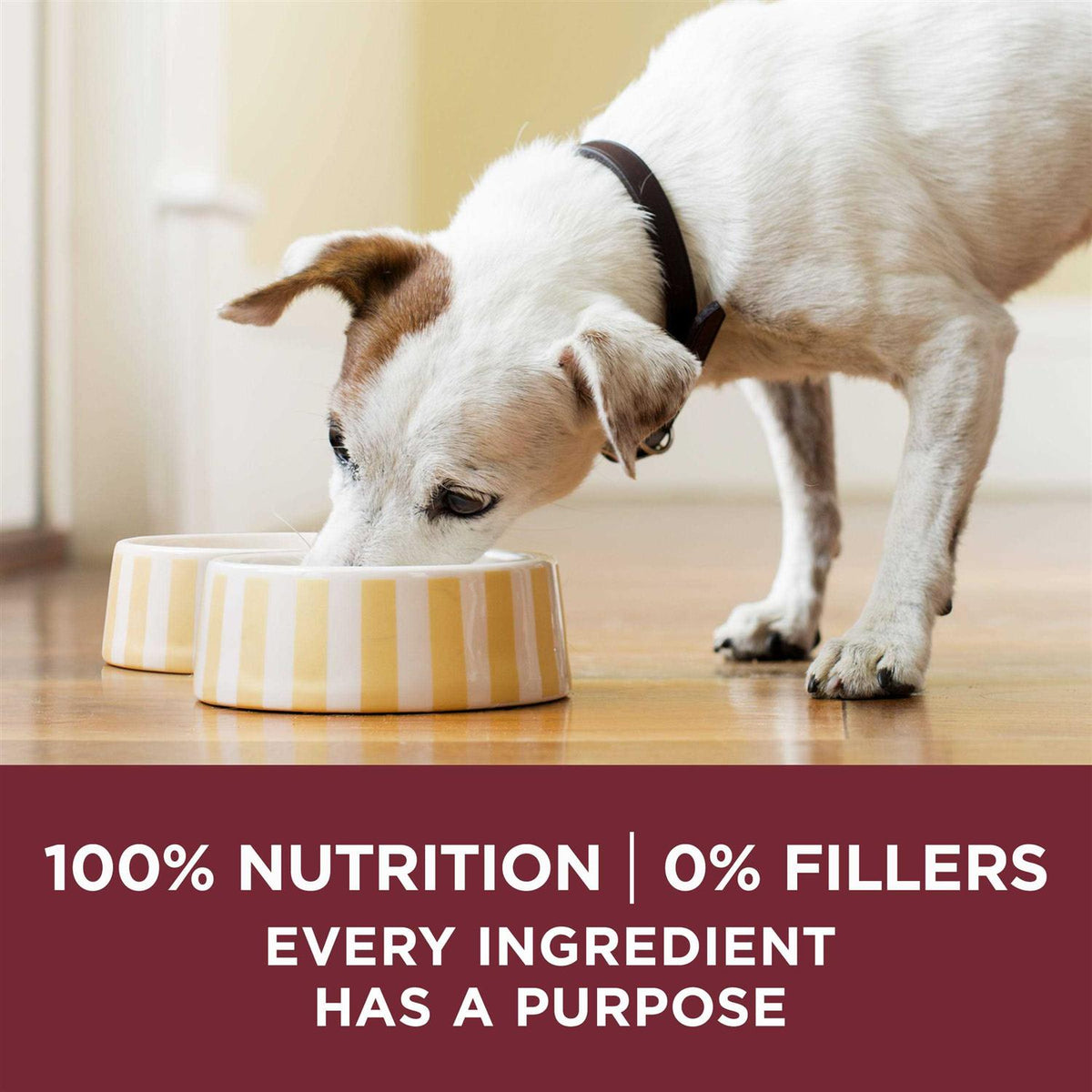 Natural Gravy Wet Dog Food Variety Pack W78457