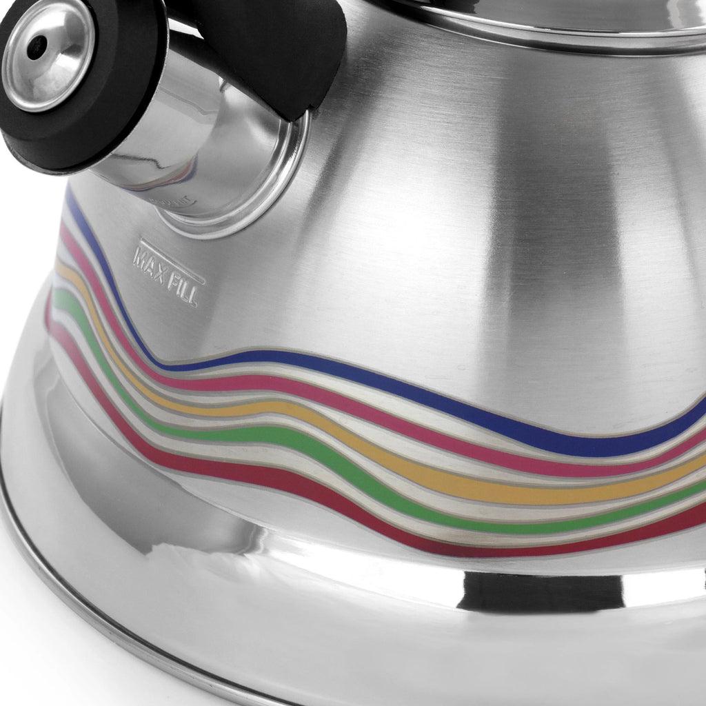 Stainless Steel Whistling Tea Kettle T9588