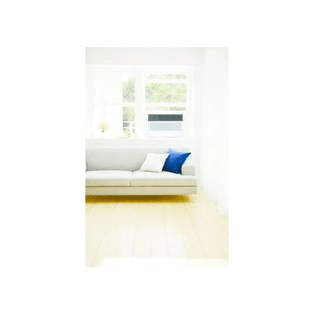 10000 BTU Window Air Conditioner R62480