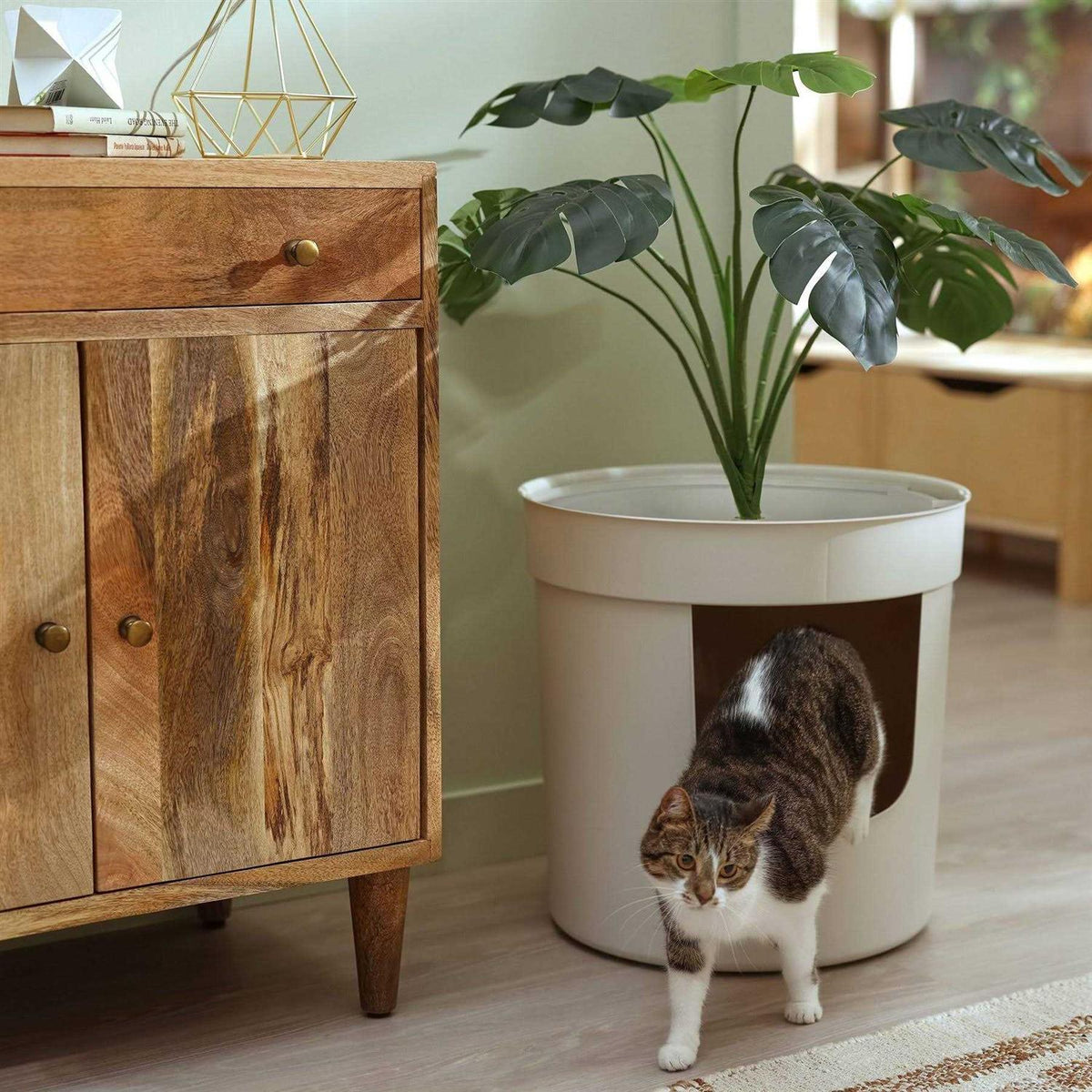 Hidden Cat Litter Box Z682069