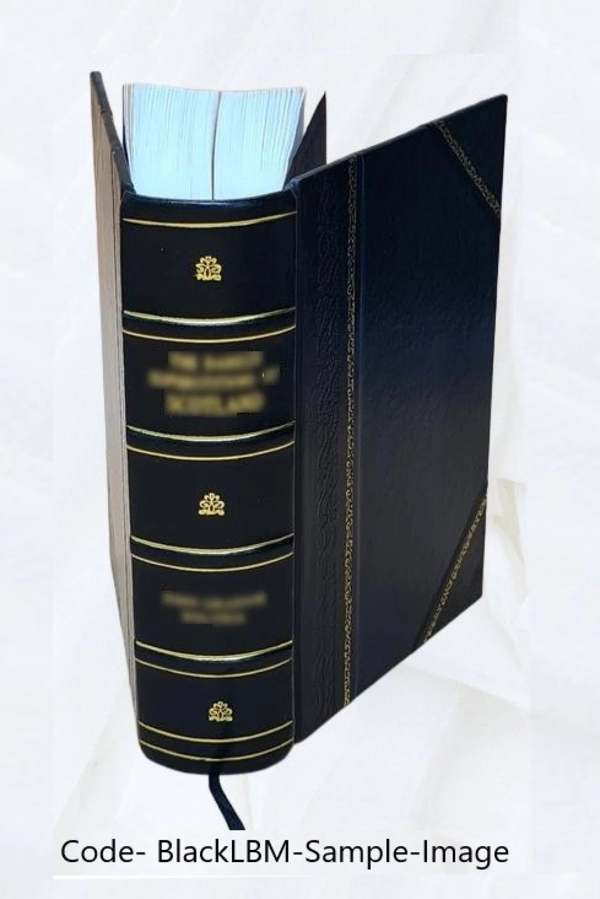 Leather Bound Furniture and Furnishings P625