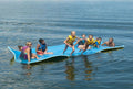 Floating Water Mat F26908