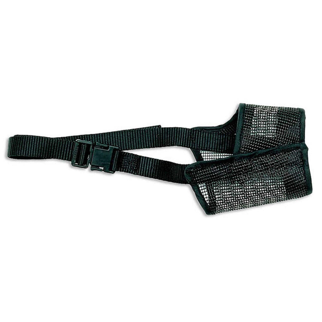 Muzzle R172